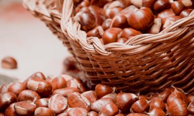 Venasca è pronta per la Mostra mercato della Castagna e dei prodotti della valle Varaita 