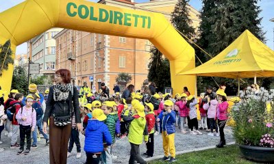 Fiera del Marrone, Coldiretti Cuneo: 