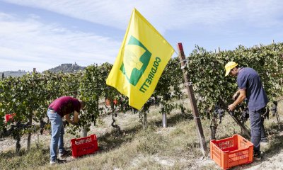 Coldiretti Cuneo: 