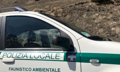 In 378 per quindici posti da istruttore di Polizia locale faunistico ambientale della Provincia