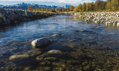 Il Parco Fluviale Gesso e Stura presenta il catalogo di attività didattiche per il nuovo anno scolastico