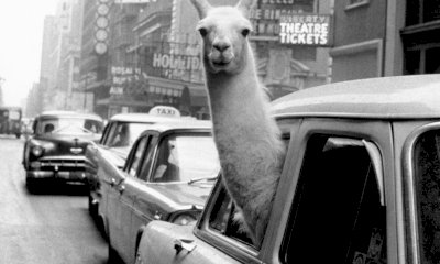 “Inge Morath. L’occhio e l’anima”: a Caraglio una mostra nel centenario della nascita della fotografa