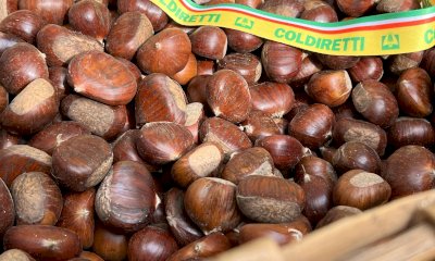 Fiera del Marrone, Coldiretti: 