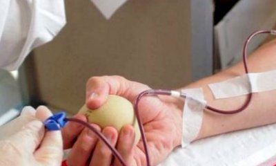 Domenica 22 ottobre la festa dei donatori di Avis Cuneo