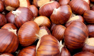 Festa del Re Marrone: venerdì 20 ottobre la tavola rotonda 