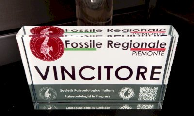 Esposto al Museo Craveri di Bra il fossile simbolo del Piemonte