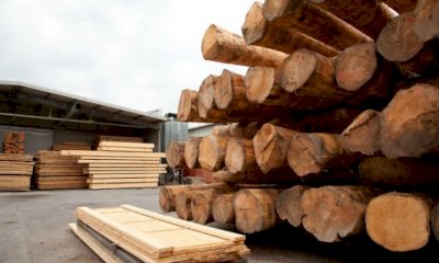 Filiera del legno, Coldiretti Cuneo: 