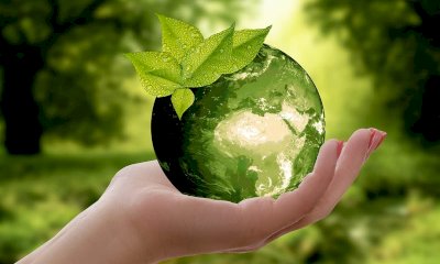 Sostenibilità: Cos'è, Tipologie, Pilastri e Vantaggi 