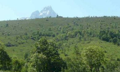 Recupero dei pascoli di alta e media valle: un progetto dell’Unione Montana Valle Varaita