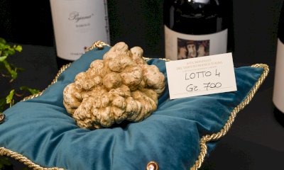 Il 12 novembre ritorna l'Asta Mondiale del Tartufo Bianco d'Alba