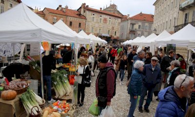 L’estate di San Martino con “Cavoli Tuoi”
