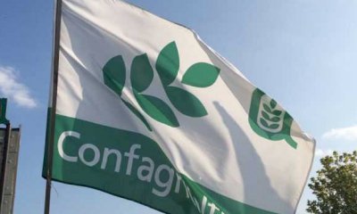 Confagricoltura: 