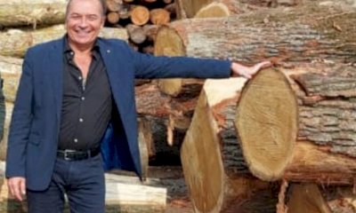 Dalla Regione un bando da 6 milioni di euro a sostegno alla filiera del legno e alla pulizia dei boschi