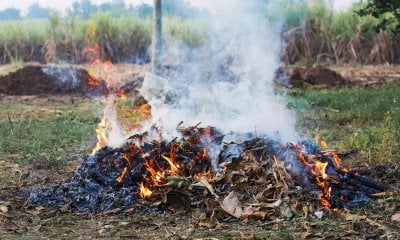 Abbruciamenti vegetali, Coldiretti Cuneo: 