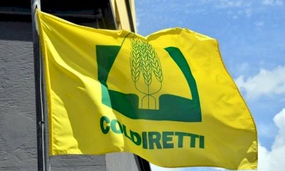 Cibi artificiali, Coldiretti Cuneo: 