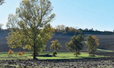 Riparte il viaggio in Piemonte dello Sportello forestale itinerante