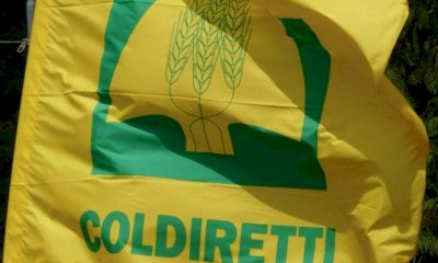 Coldiretti Cuneo, la carne sintetica e una verità raccontata a metà