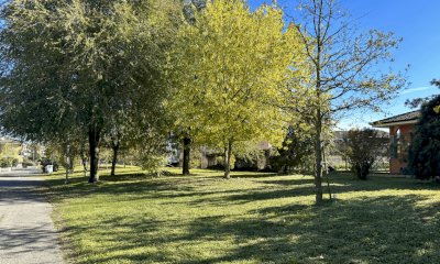 Pannelli esplicativi nel boschetto di via Galimberti: Cherasco celebra la Festa dell’Albero