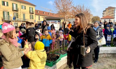A Saluzzo c'è un nuovo albero in memoria di Giulia Cecchettin