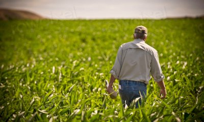 Pnrr, Coldiretti Cuneo: “Tre miliardi in più per l’agricoltura”