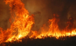 La Regione decreta lo stato di massima allerta per incendi boschivi