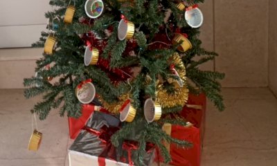 Borgo, anche quest'anno i bimbi della scuola dell'infanzia hanno allestito l'albero di Natale del municipio