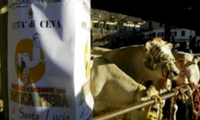 A Ceva torna l’Antica fiera di Santa Lucia, con la rassegna zootecnica regionale