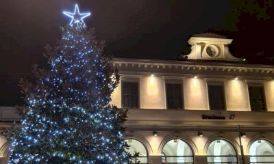 Bra: addobbi natalizi per la magnolia di piazza Roma