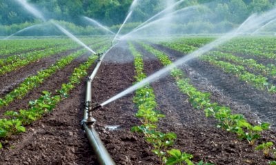 Con il progetto MountResilience il Piemonte cerca soluzioni per ottimizzare l’uso dell’acqua in agricoltura 