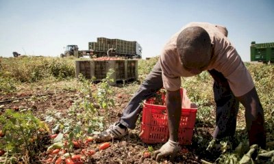 Migranti, Coldiretti Cuneo: 