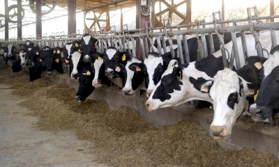 Coldiretti Piemonte, Piano Qualità Aria: 