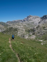 Cani nei parchi: si cambia