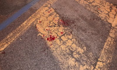 Risse tra giovani a Fossano, Tallone: 