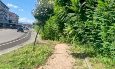 Cuneo, proseguono i lavori di manutenzione del verde pubblico