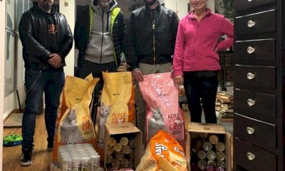 Un aiuto dall’associazione “Il Maestrale” alle colonie feline