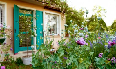 Come valorizzare il proprio giardino?