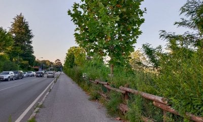 Cuneo, proseguono i lavori di manutenzione del verde pubblico