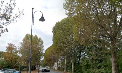 Manutenzione del verde, a Cuneo conclusi gli interventi in via Circonvallazione Nord