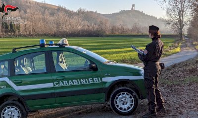 Nel 2023 i Carabinieri Forestali cuneesi hanno effettuato 12.700 controlli con quattro arresti