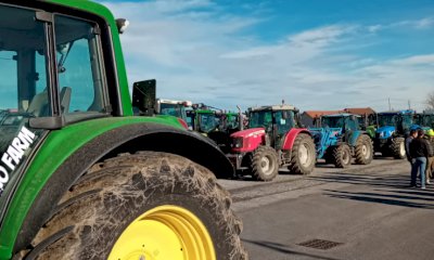 L'allarme degli agricoltori cuneesi: 