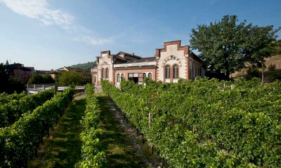 “Vino e mercati”: la sfida dell’enoturismo per il futuro del settore vitivinicolo piemontese