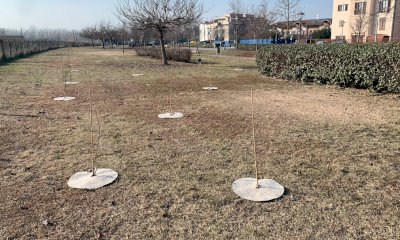 A Savigliano un centinaio di nuovi alberi per i nuovi nati