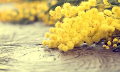 “Non solo marzo”: gli eventi albesi per la Festa della Donna