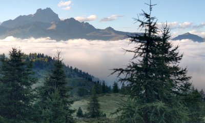 Gestione forestale associata: una serata a Venasca per informare sul bando regionale