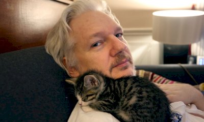 Si decide il destino di Julian Assange: Amnesty International mobilitata anche a Cuneo