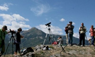 Il Parco Alpi Marittime sbarca su iNaturalist