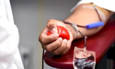 Donazioni di sangue, al 