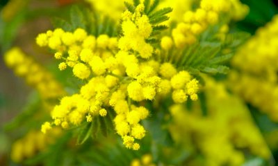 “8 marzo è tutto l’anno”, al via l'edizione 2024