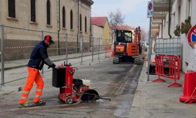 Cuneo, in settimana nuovi alberi al Donatello e asfaltature in via Sobrero e via Bongioanni