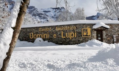 I biglietti per l'ingresso nel Centro Uomini e Lupi di Entracque ora si possono acquistare online